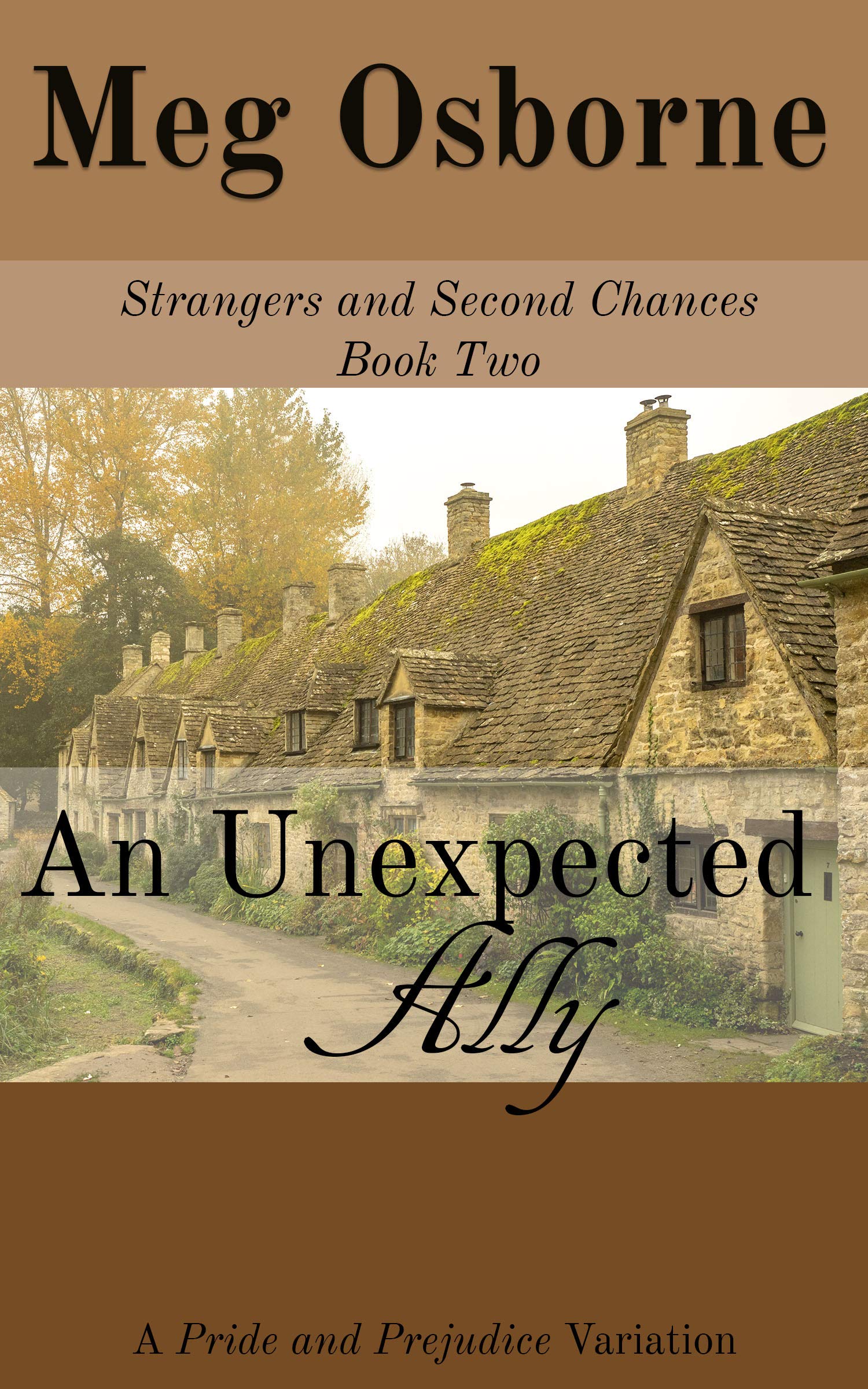 An Unexpected Ally: A Pride and Prejudice Variation (Strangers and Second Chances Book 2)