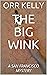 THE BIG WINK: A SAN FRANCIS...