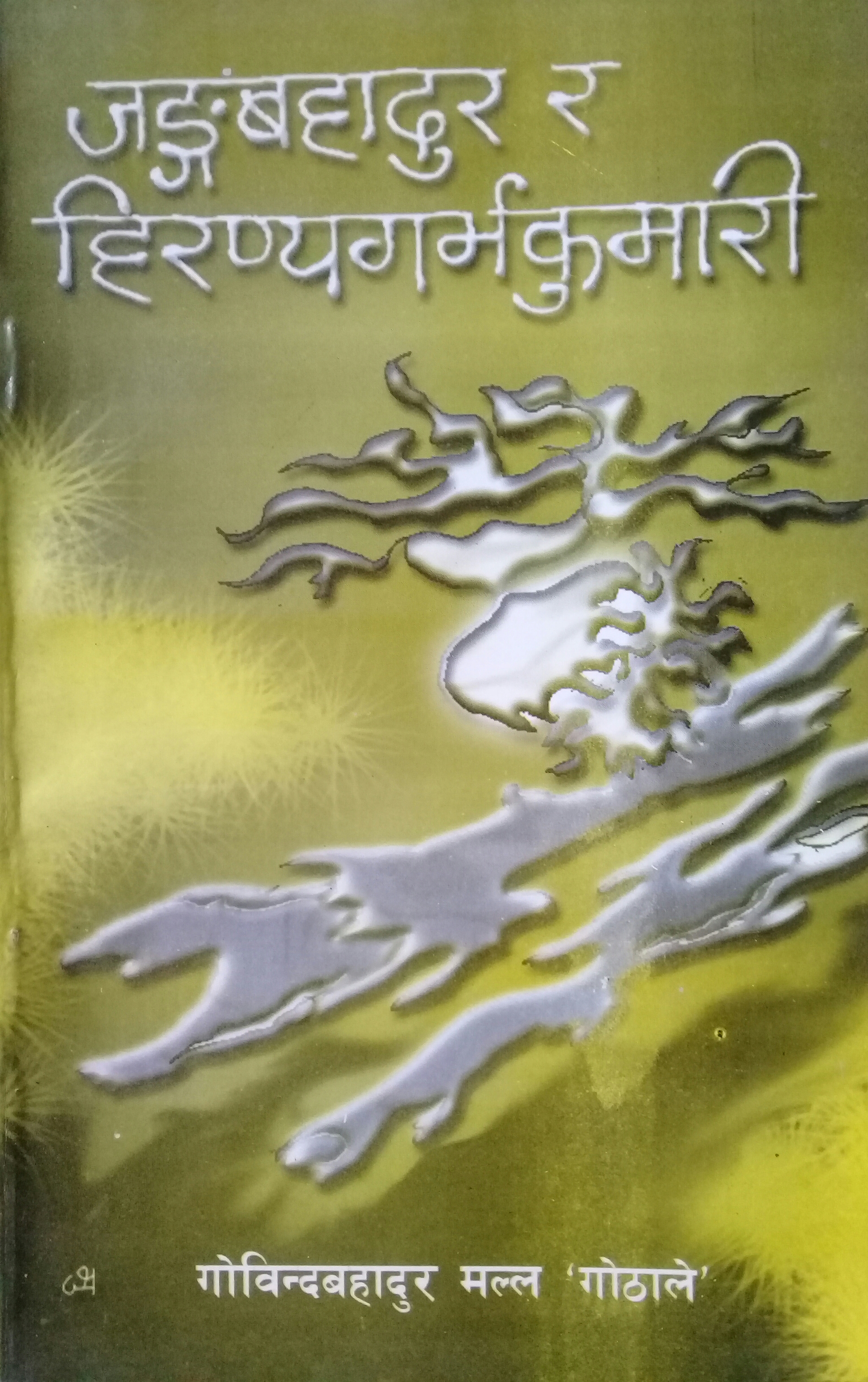 जङ्गबहादुर र हिरण्यगर्भकुमारी [Junga Bahadur ra Hiranyagarva Kumari] (Paperback)