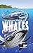 50 Million Years of Whales by Ted Rechlin
