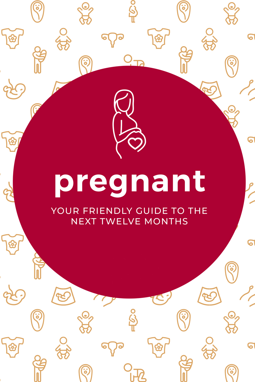 Pregnant - Your Friendly Guide to the Next Twelve Months
