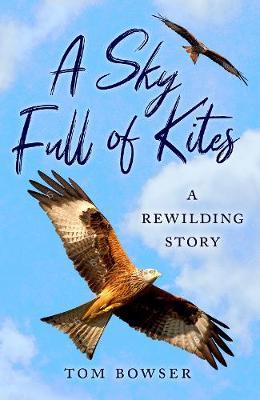 A Sky Full of Kites: A Rewilding Story (Paperback)