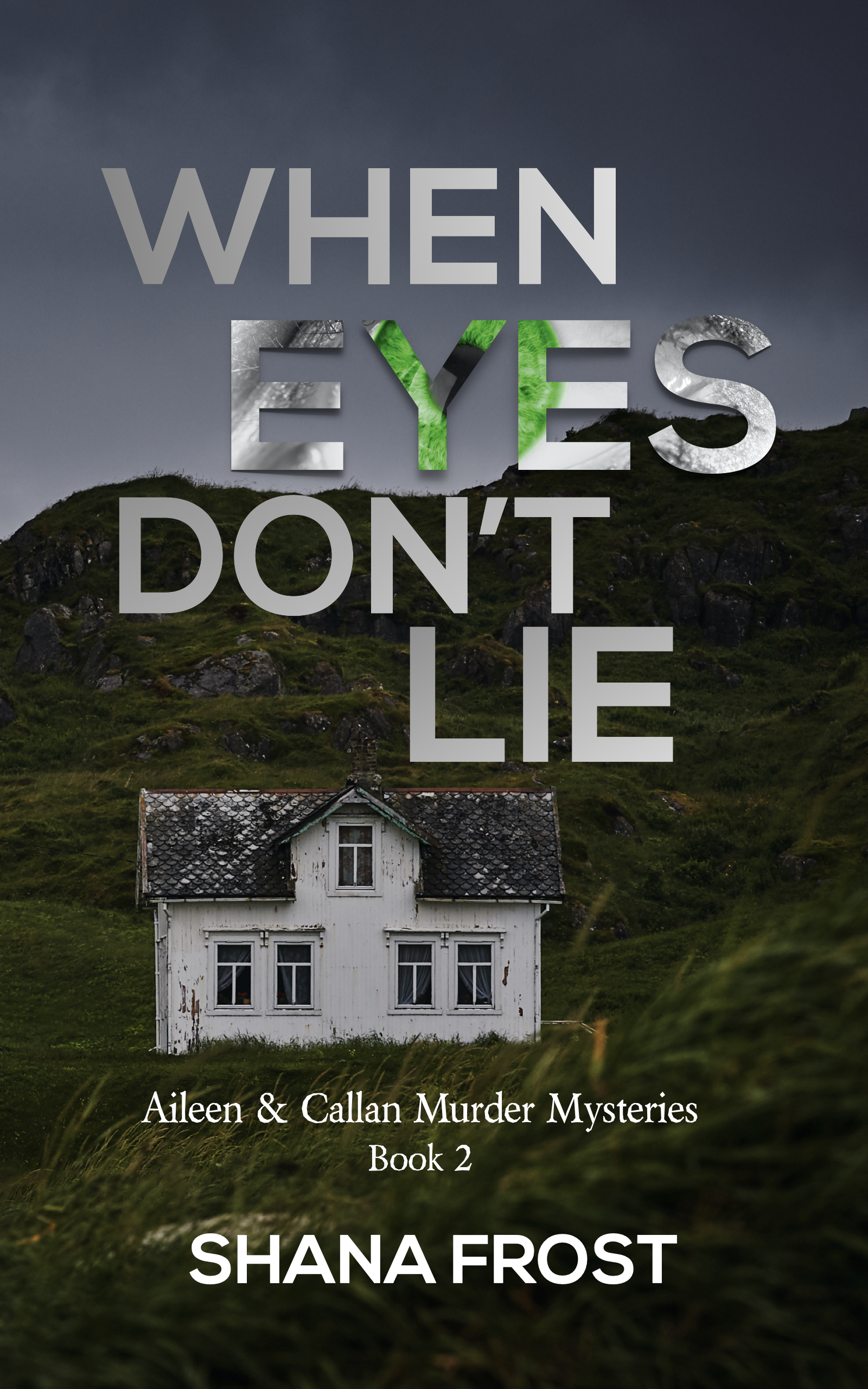 When Eyes Don't Lie (Aileen and Callan Murder Mysteries, #2)