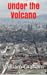 Under the Volcano: Quito Mu...