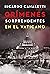 Crímenes sorprendentes en el Vaticano by Ricardo Canaletti