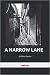 A Narrow Lane and Other Stories by Saadia Azim