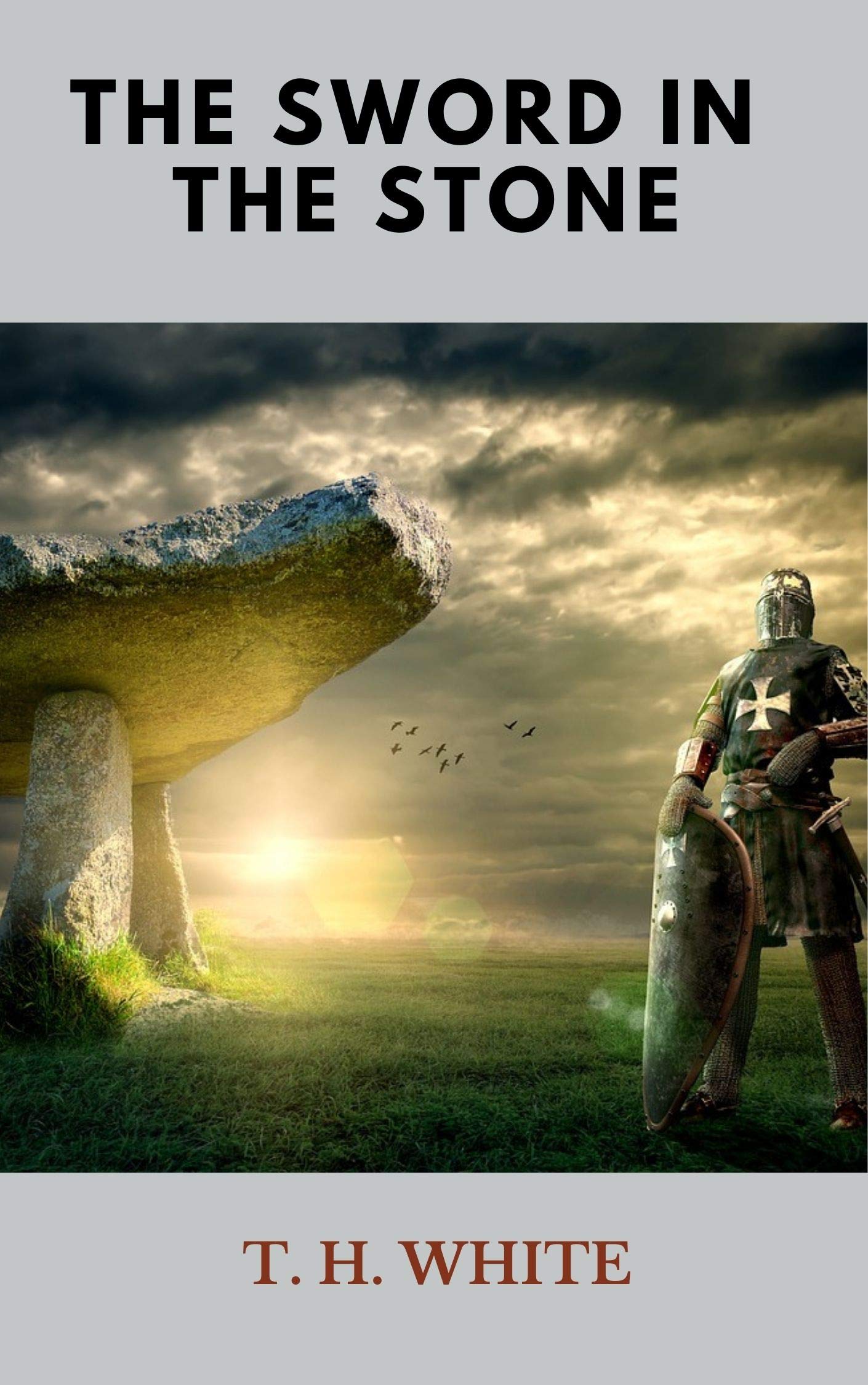 The Sword in the Stone