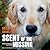Scent of the Missing: Love and Partnership with a Search-And-Rescue Dog