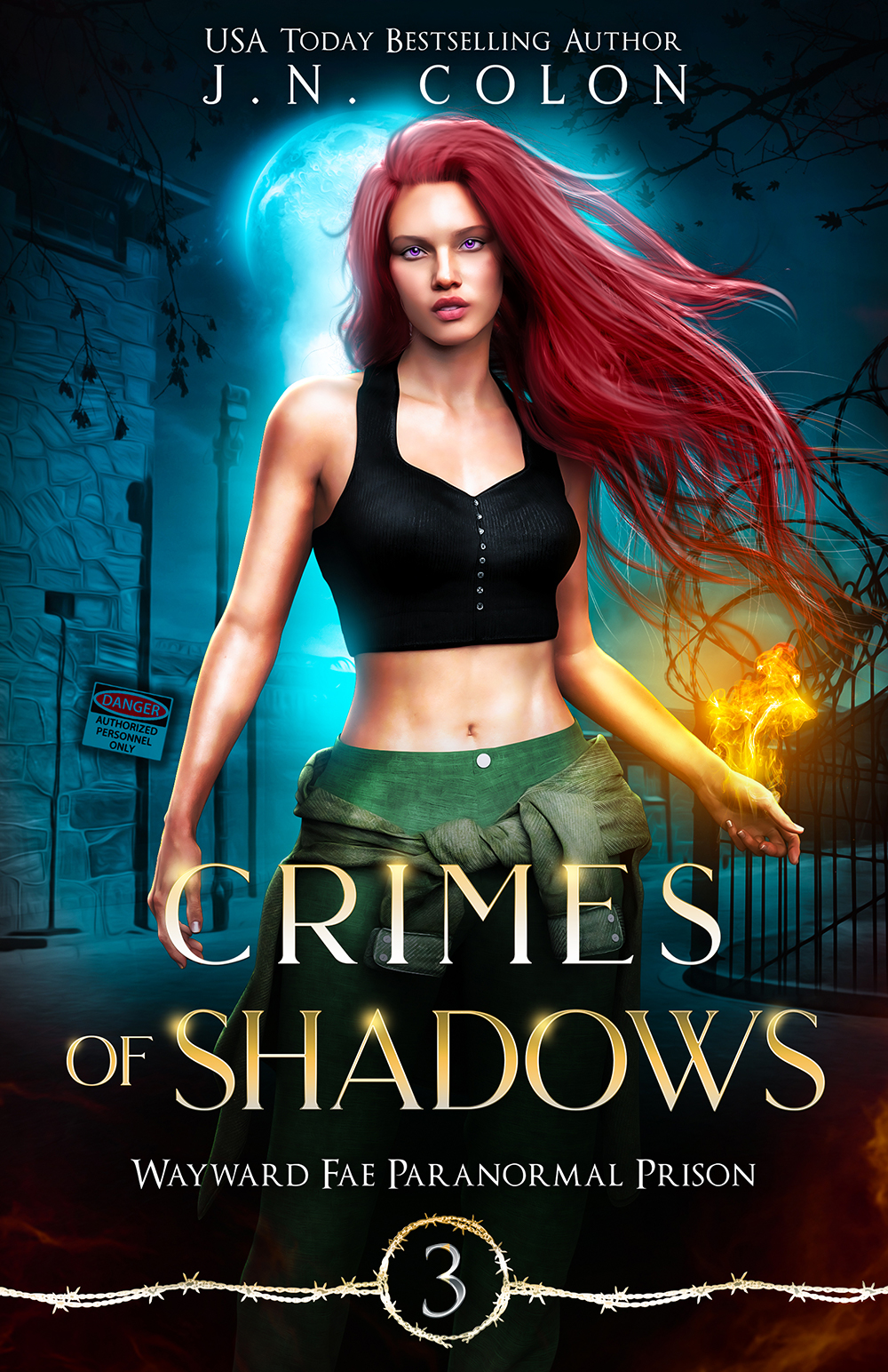 Crimes of Shadows (Wayward Fae Paranormal Prison, #3)