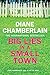 Big Lies in a Small Town by Diane Chamberlain