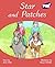 Star and Patches