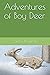 Adventures of Boy Deer by Sandy Brannan