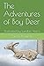 The Adventures of Boy Deer by Sandy Brannan