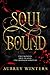 Soul Bound (The Shadow Worl...