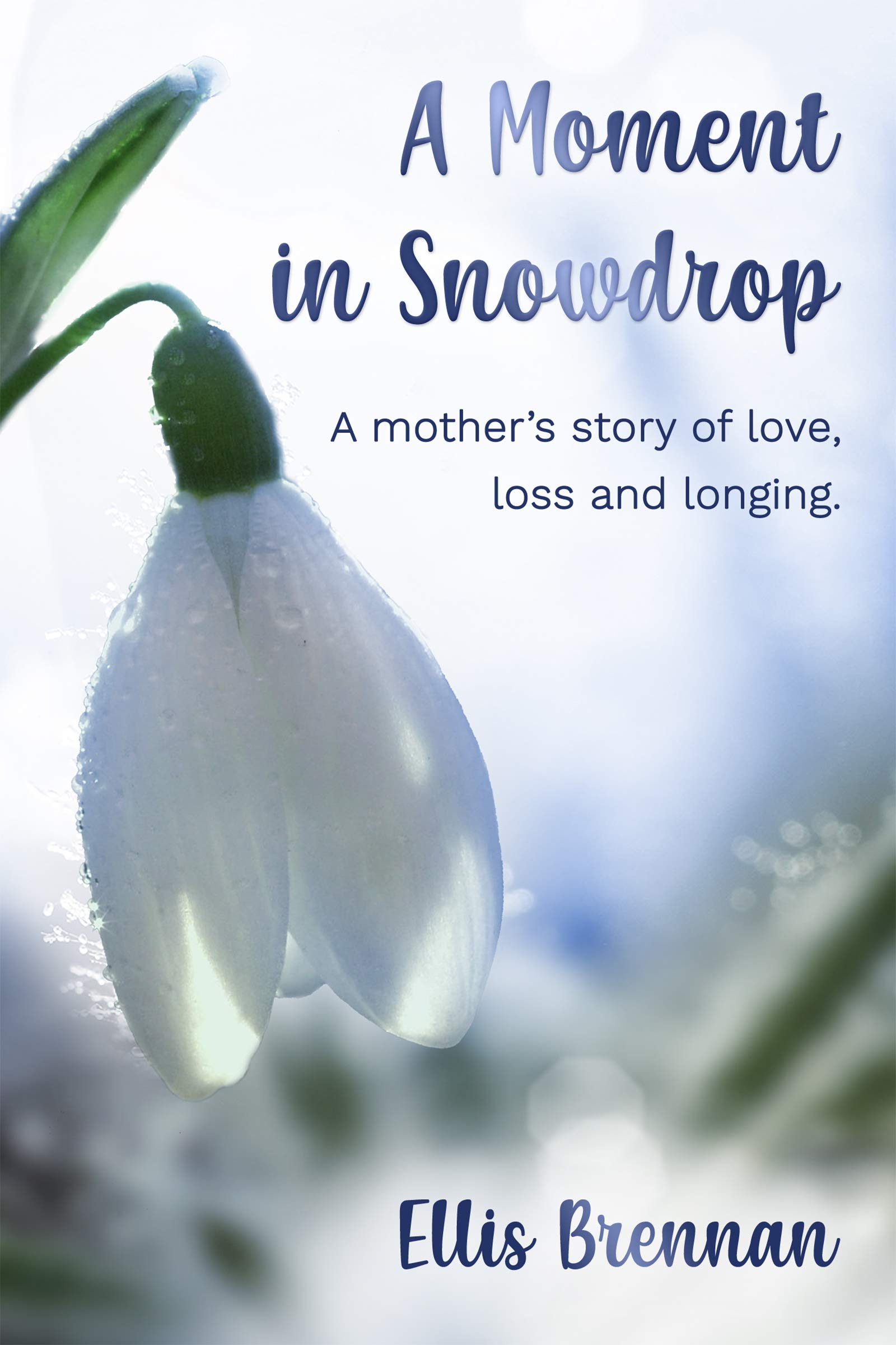 A Moment in Snowdrop (Kindle Edition)
