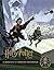 Le Quidditch et le tournoi ...