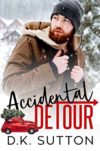 Accidental Detour (Kindle Edition)