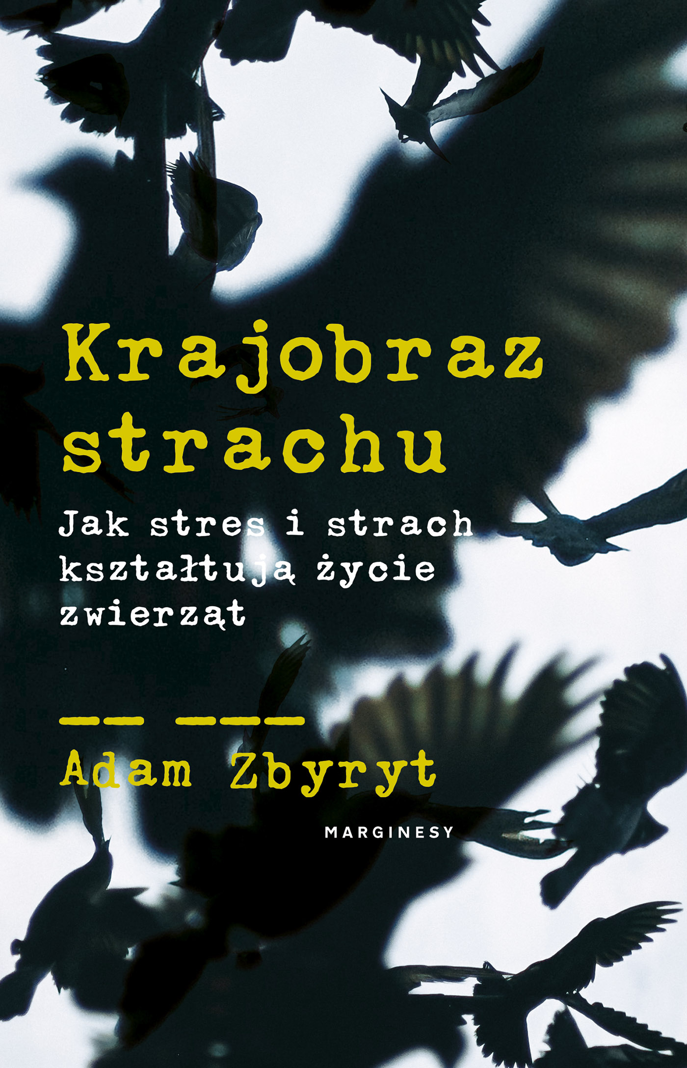 Krajobraz strachu (Paperback)
