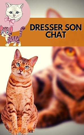 Dresser Son Chat Faites En Sorte Que Votre Chat Obeisse A Tous Vos Ordres Grace Aux Outils De Dressage Les Plus Puissants By Adelino Kisito Sale