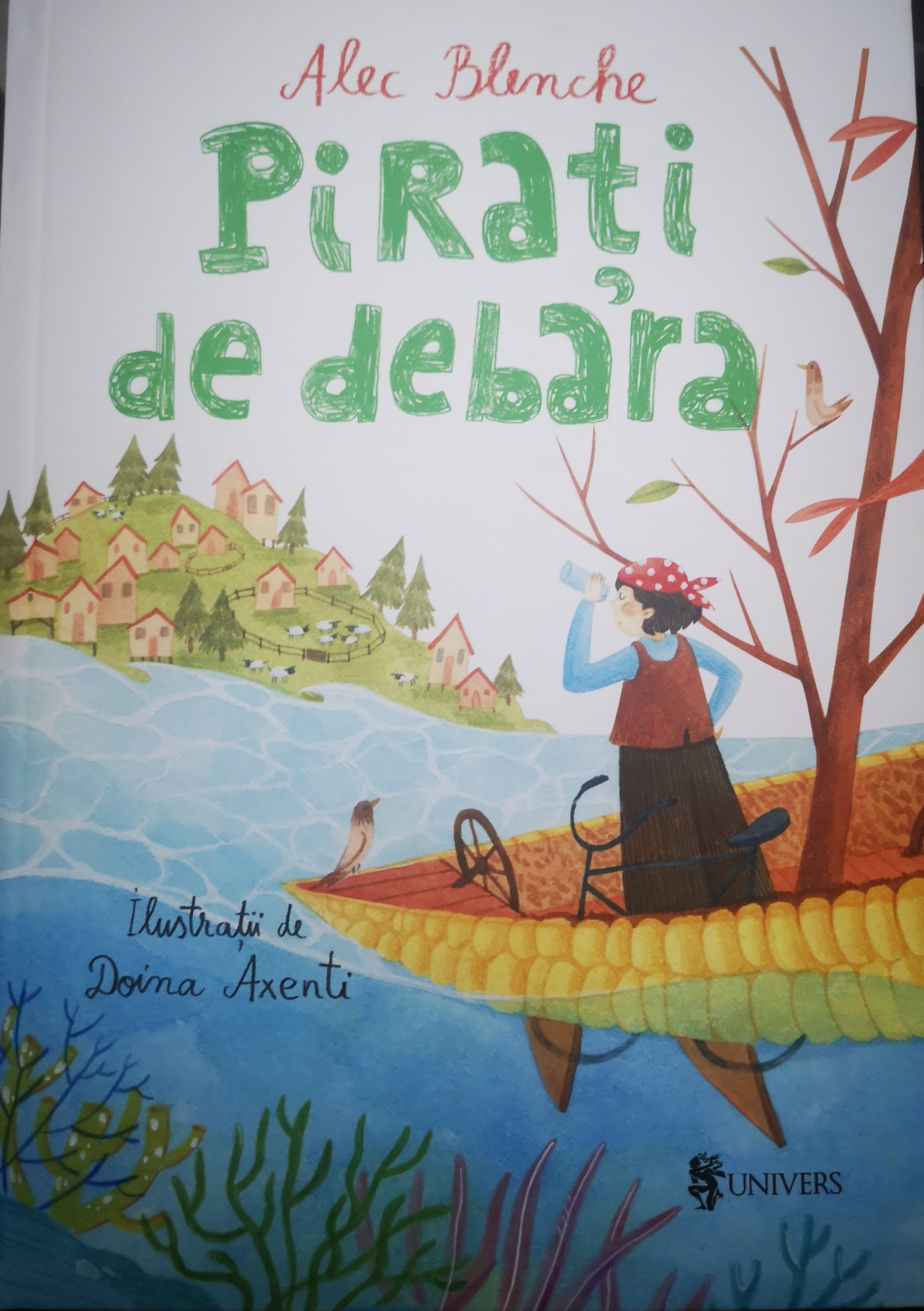 Pirați de debara (Hardcover)