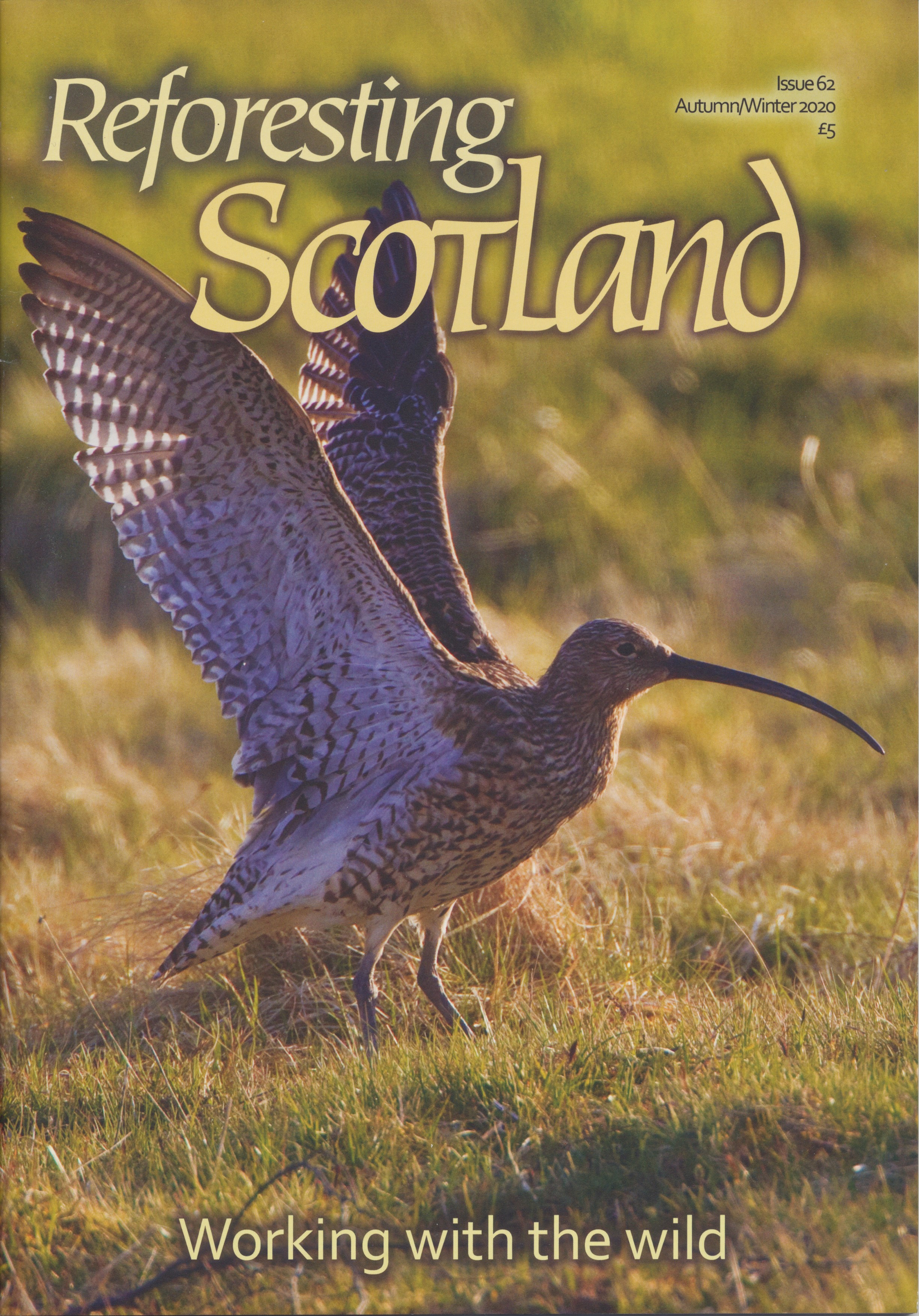 Reforesting Scotland 62: Autumn/Winter 2020