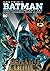 Batman: The Rise and Fall o...