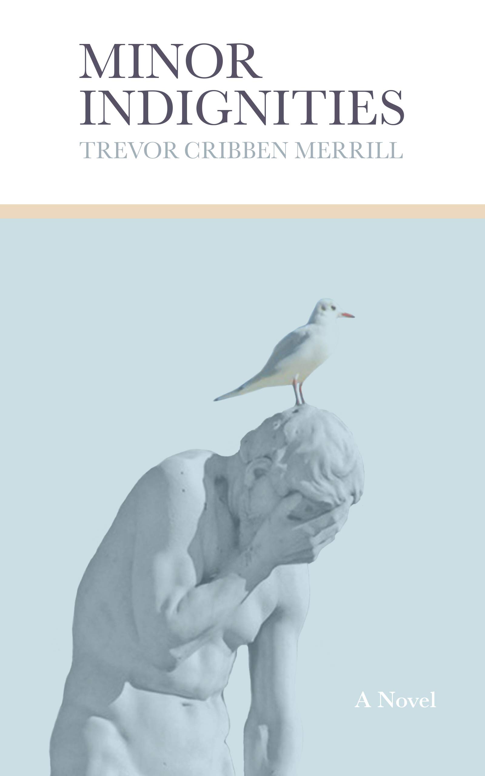 Minor Indignities (Kindle Edition)