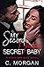 My Second Chance Secret Baby by C. Morgan