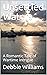 Unsettled Waters: A Romanti...