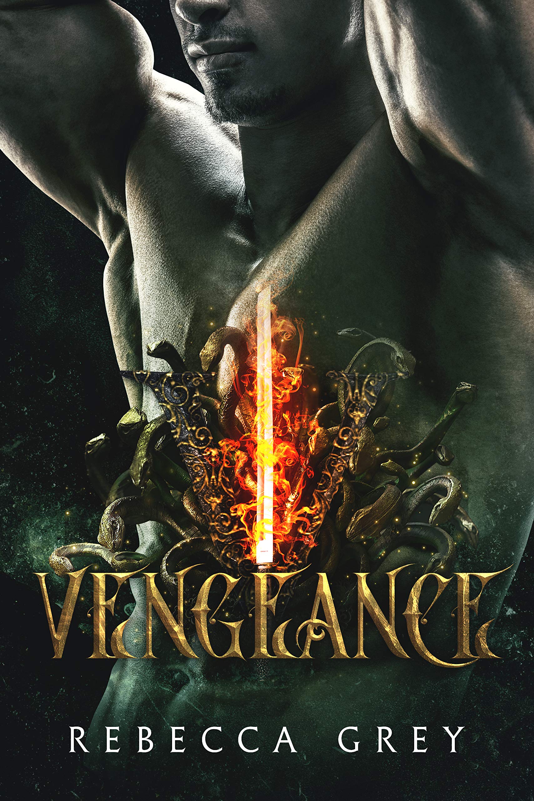 Vengeance (The Prince's Games, #1)
