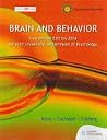 Custom Brain and Cognition Custom Brain and Cognition
