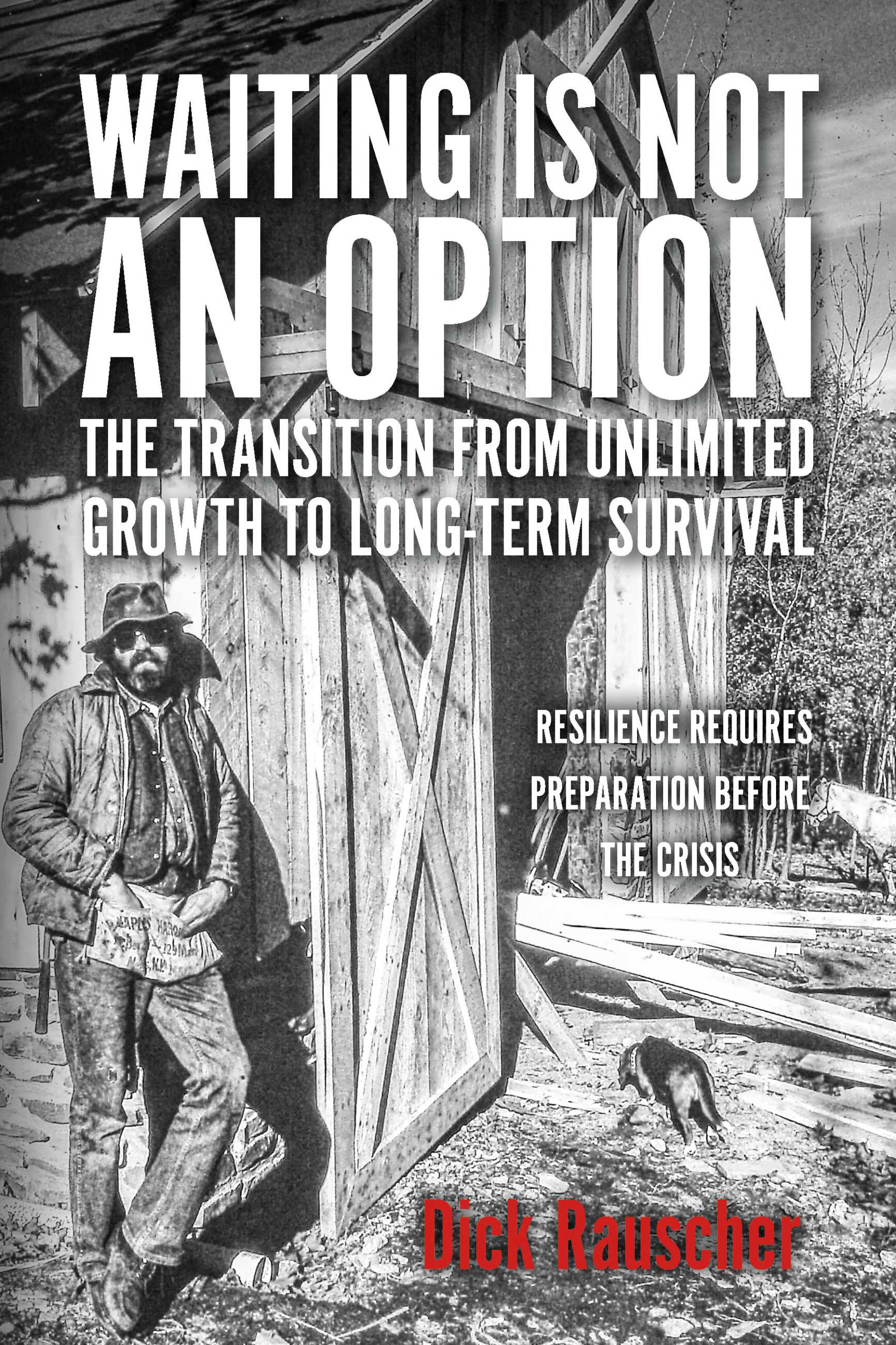 Waiting Is Not An Option: The Transition from Unlimited Growth to Long-Term Survival: Resilience Requires Preparation Before The Crisis