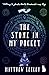 The Stone in My Pocket