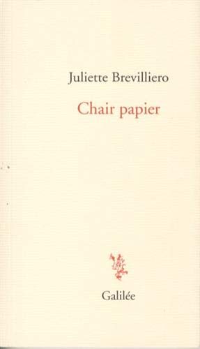 Chair papier (Paperback)