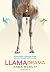 Llama Drama: A two-woman, 5,500-mile cycling adventure through South America (Anna's Adventures)