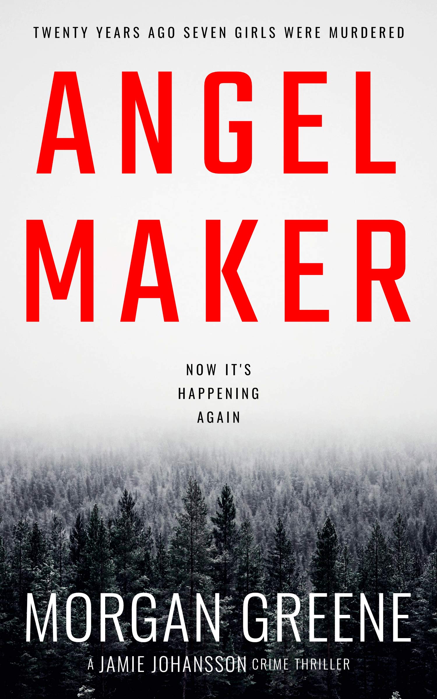 Angel Maker (DI Jamie Johansson, #1)