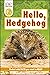 DK Readers Level 2: Hello Hedgehog