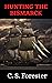 Hunting the Bismarck: The Last Nine Days of the Bismarck