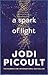 A Spark of Light by Jodi Picoult