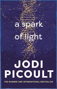 A Spark of Light By Jodi Picoult