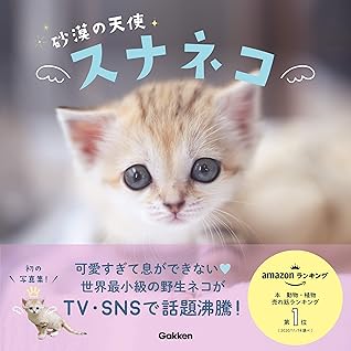 砂漠の天使 スナネコ By 那須どうぶつ王国