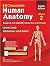 Human Anatomy, Volume 2: Lower Limb, Abdomen and Pelvis - 8th Edition