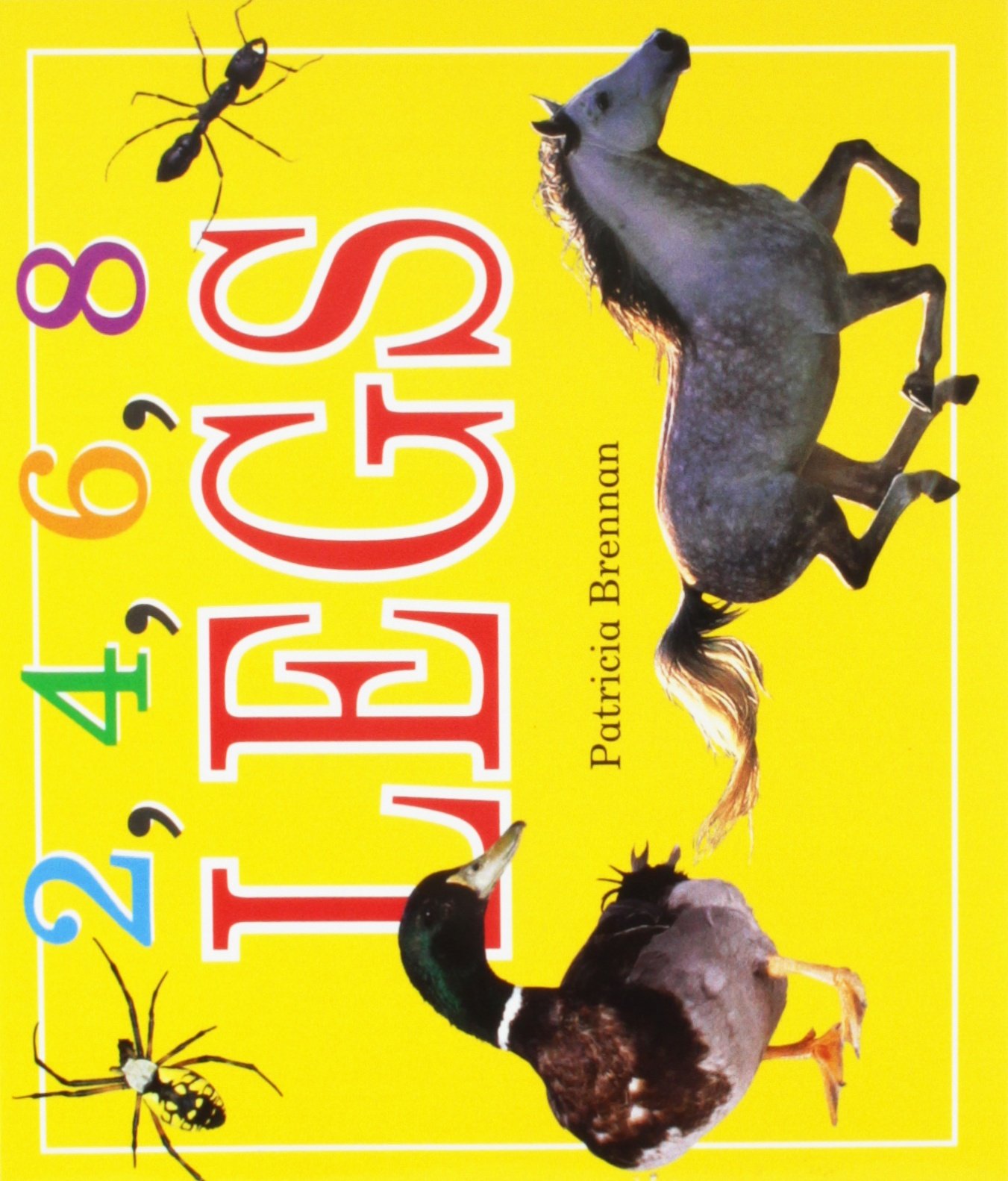 2, 4, 6, 8 Legs (Rigby Literacy by Design Readers, Grade K)