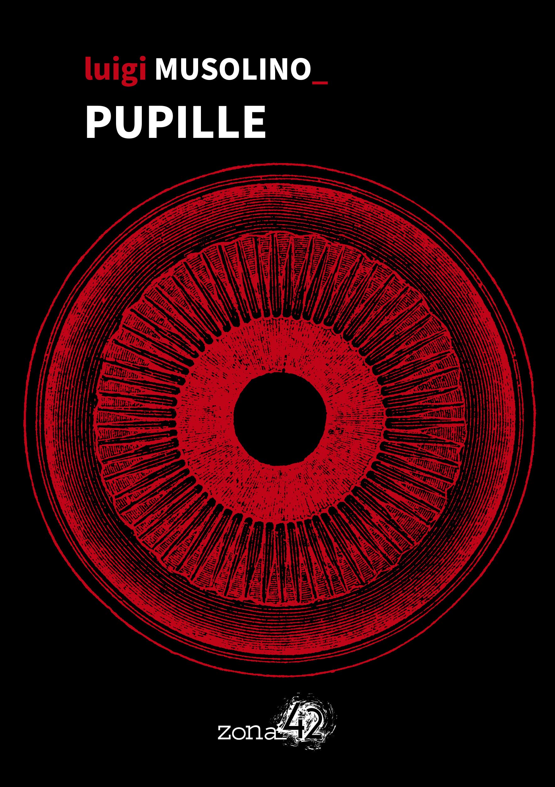 Pupille (Kindle Edition)