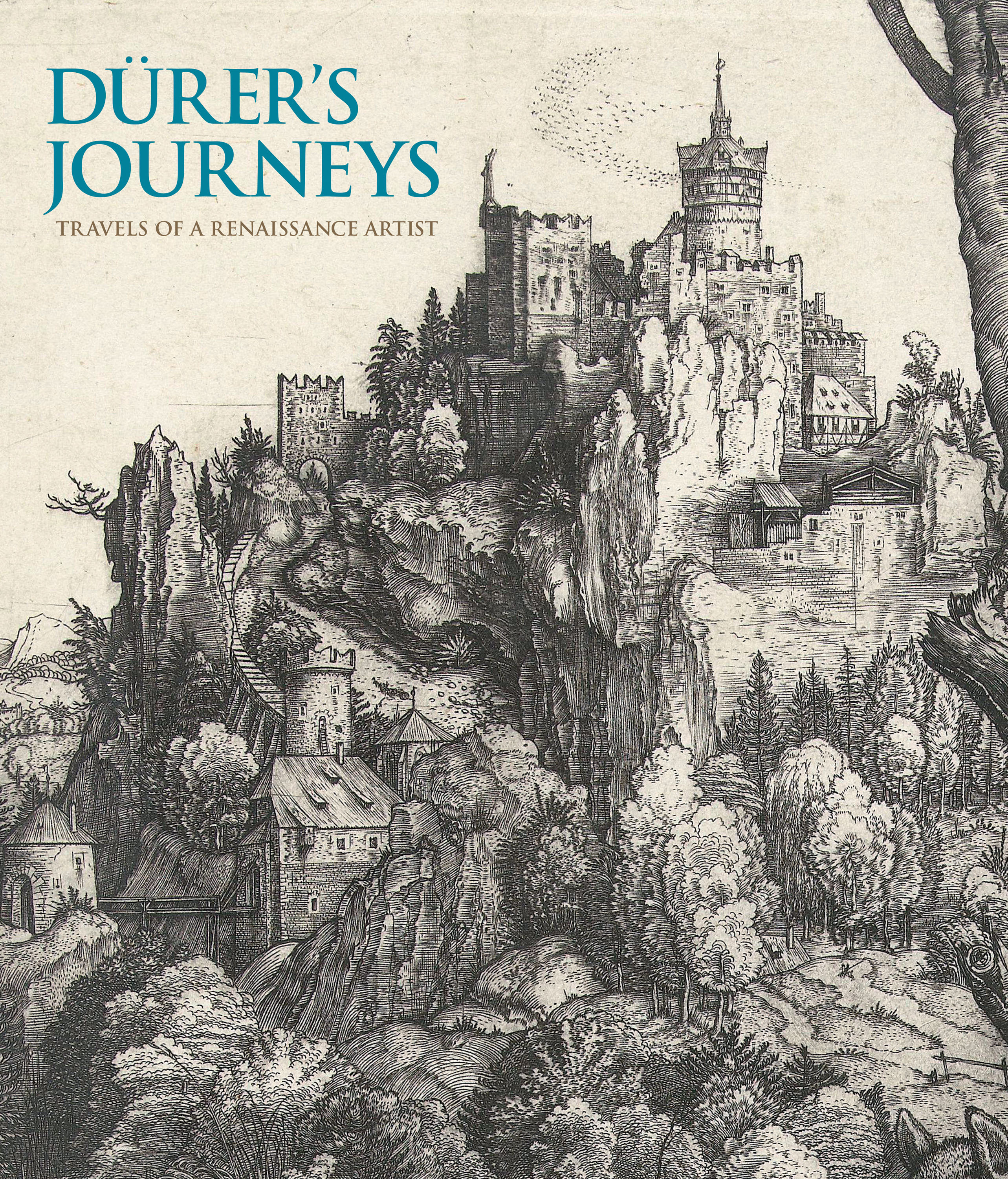 Dürer's Journeys: Travels of a Renaissance Artist (Hardcover)