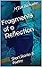 Fragments of a Reflection: ...