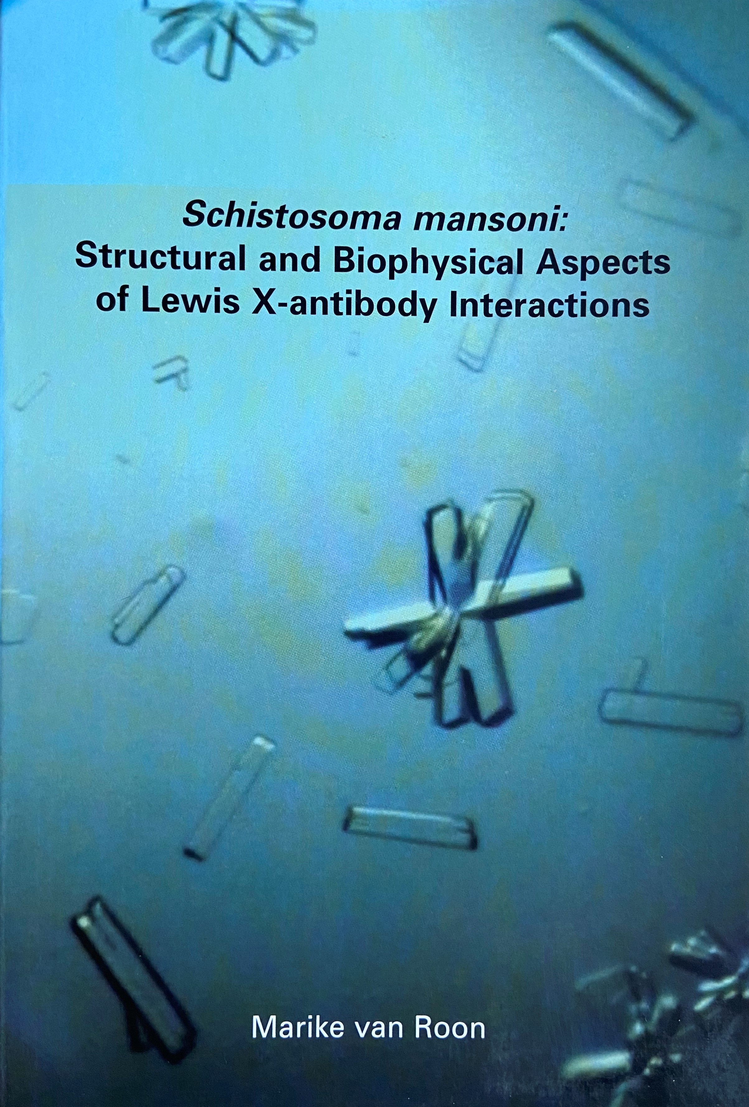 Schistosoma mansoni: Structural and Biophysical Aspects of Lewis X-antibody Interactions