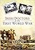 Irish Doctors in the First World War by P.J. Casey