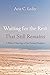 Waiting for the Rest That Still Remains by Arie C. Leder
