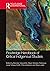 Routledge Handbook of Critical Indigenous Studies (Routledge International Handbooks)